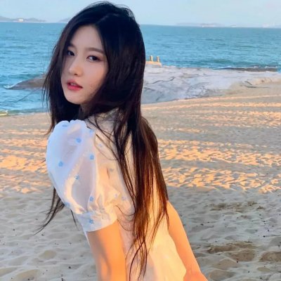 壁虎 海报